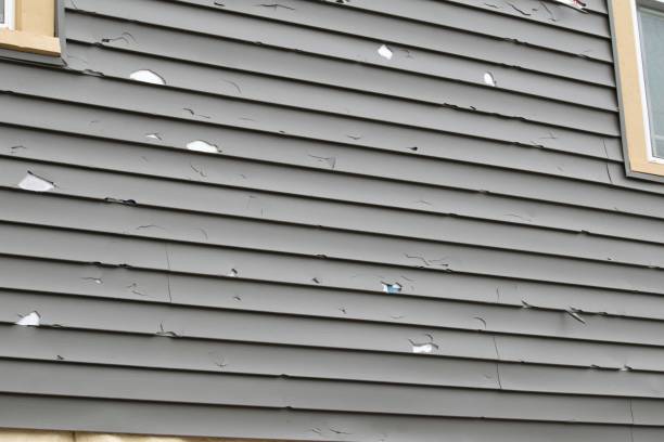 Best Vinyl Siding Installation  in Snyderville, UT